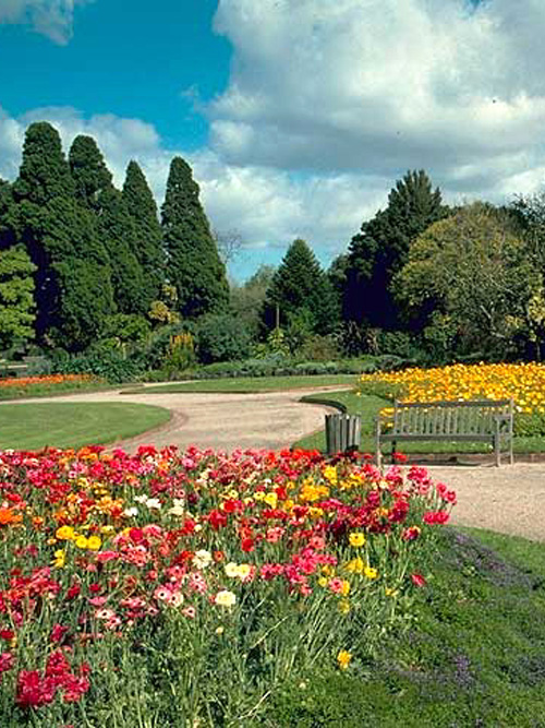 st-kilda Botanic Gardens